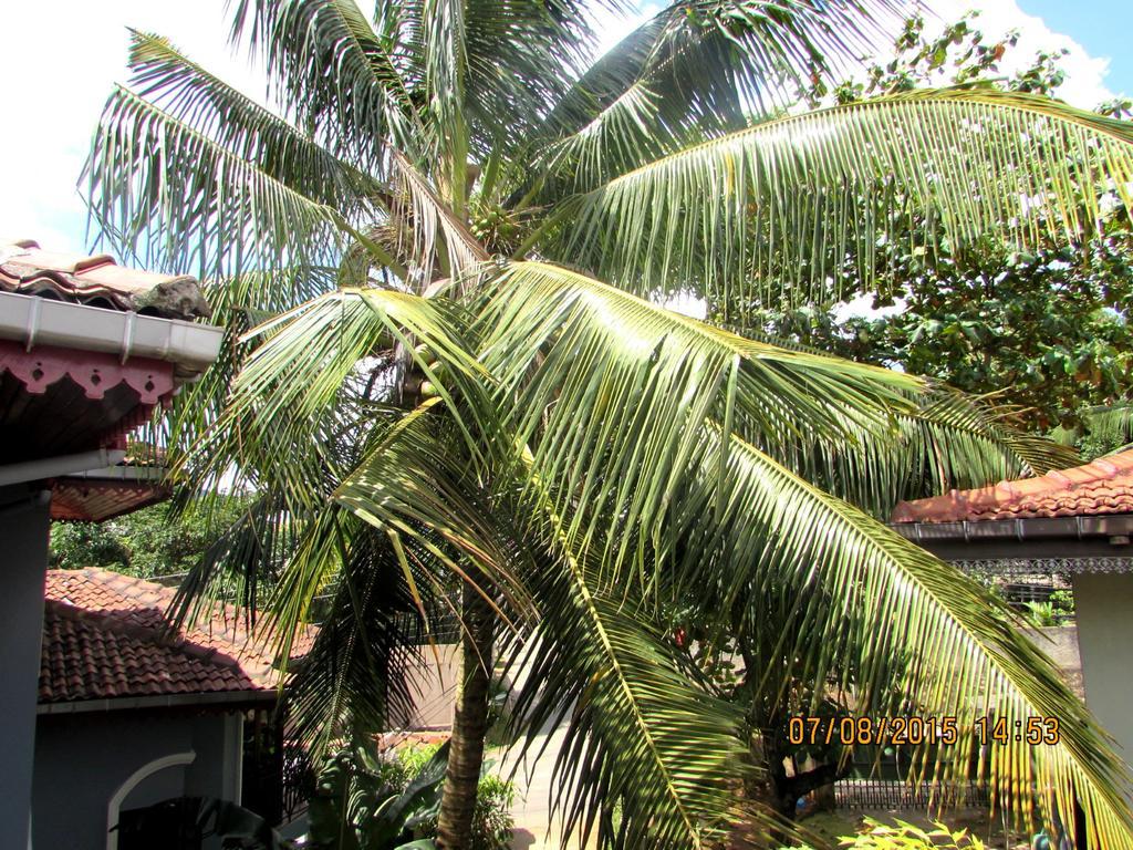 W Residence Kandy Esterno foto